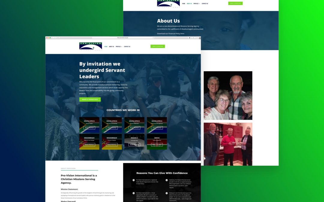 PRO-VISION INTERNATIONAL